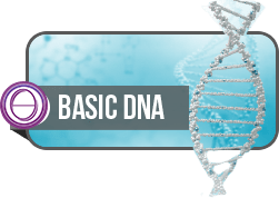 Logo ThetaHealing Basic DNA