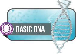 Logo ThetaHealing Basic DNA